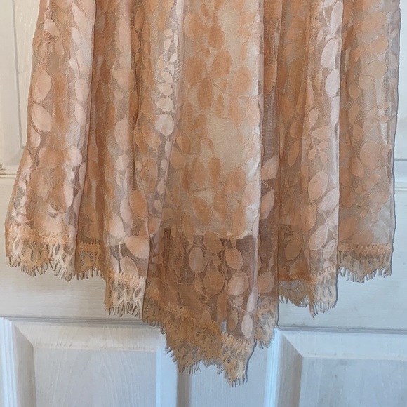 Free People dress. Sheer leaf patterned overlay; attached slip - Picture 2 of 6